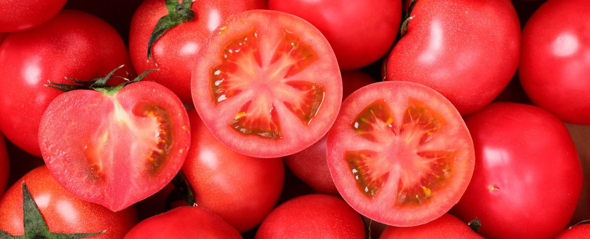 トマトの栄養素(カロリー/ビタミン/ ミネラル / 効果効能） 栄養素大全集